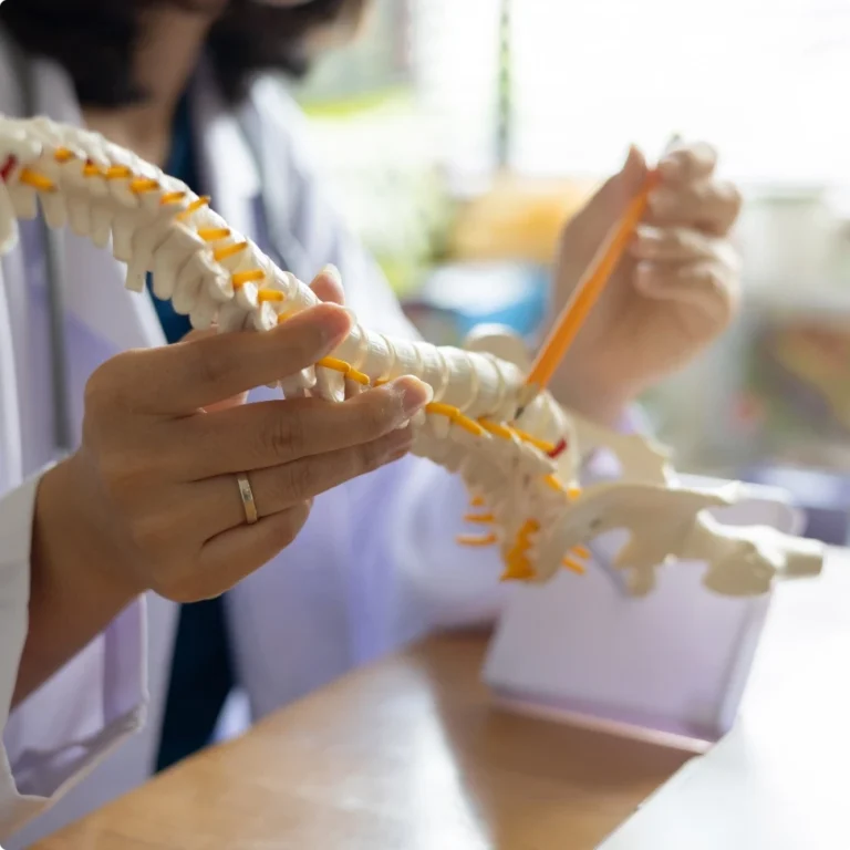 Läkare visar ryggradens modell för patient – expertis inom kiropraktik Halmstad och vård.